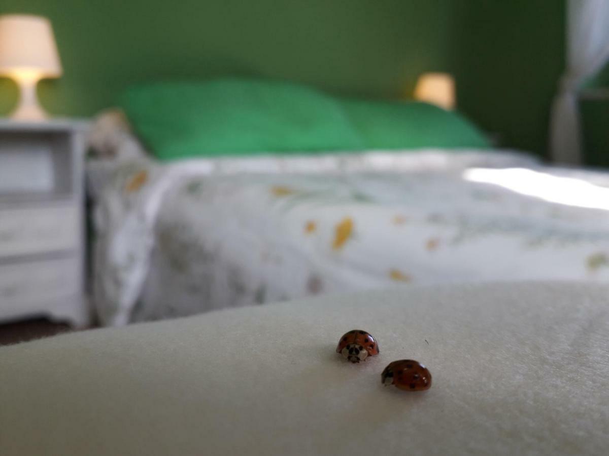 Alle Preci Country House Santa Restituta エクステリア 写真
